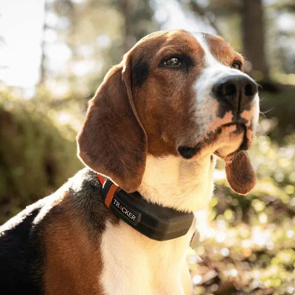 Tracker Luna - GPS hundehalsbånd