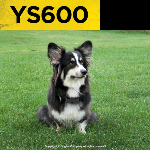 Dogtra YS600 halsbånd