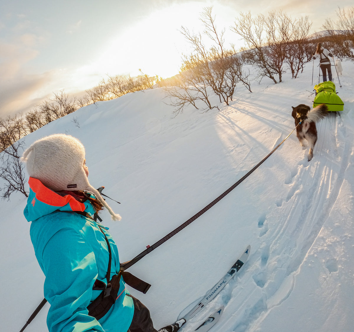 Non-Stop Dogwear Touring Bungee hundebånd