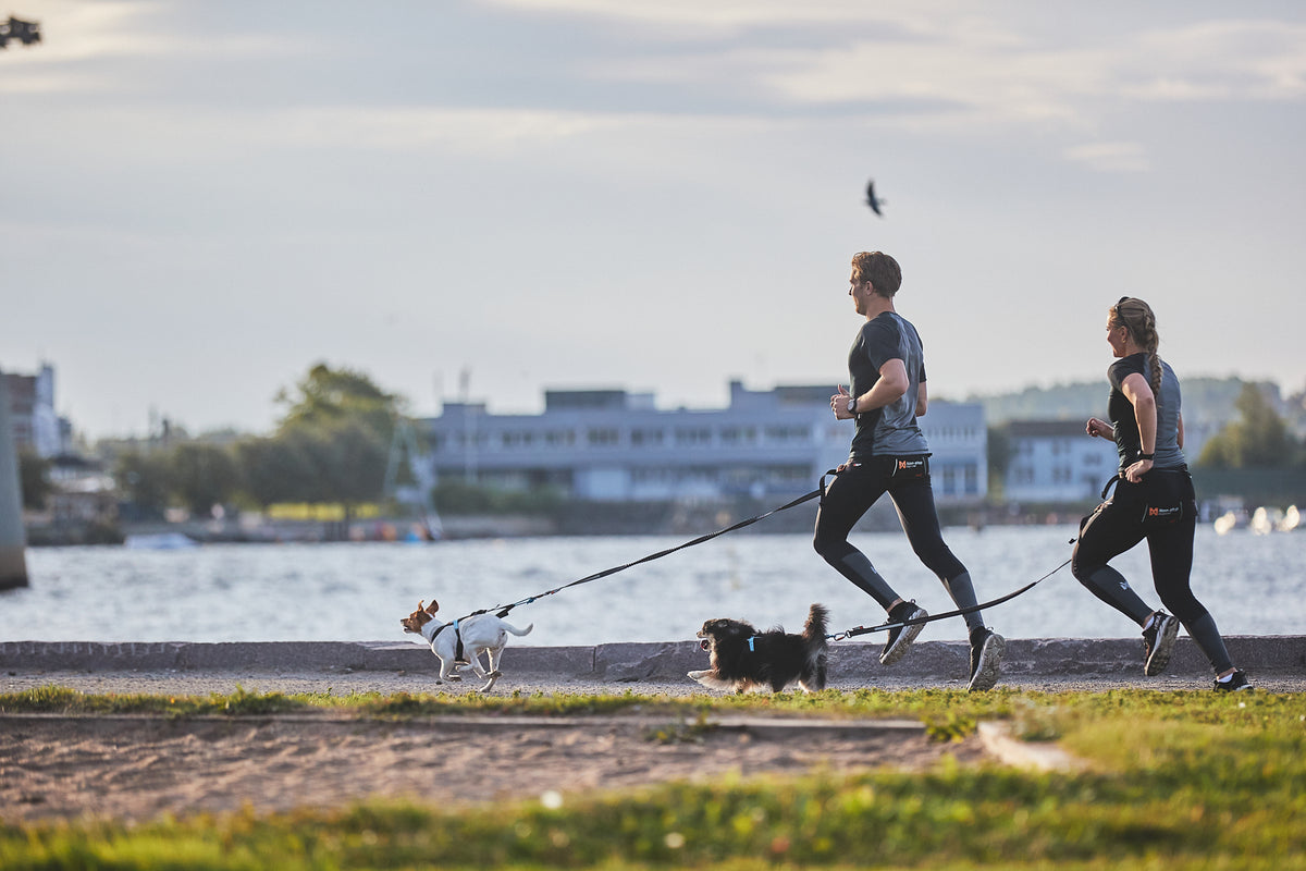 Non-Stop Dogwear Touring Bungee hundebånd