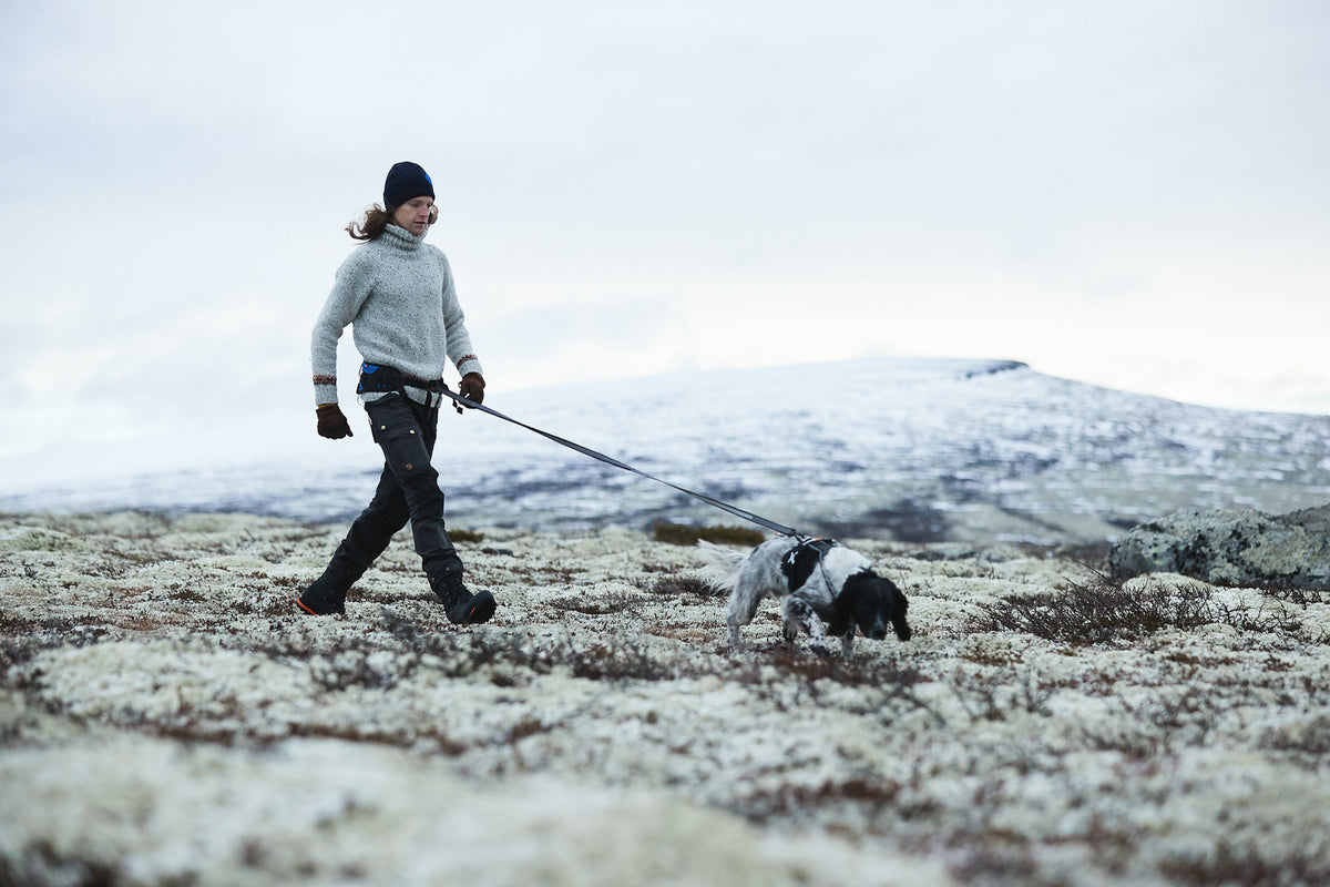 Non-Stop Dogwear Touring Bungee hundebånd